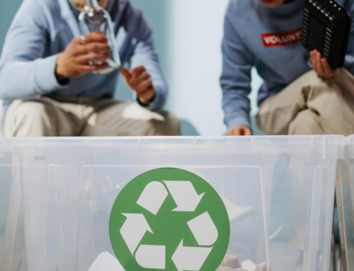 Pequeñas acciones sostenibles que todo empleado puede aplicar en el día a día